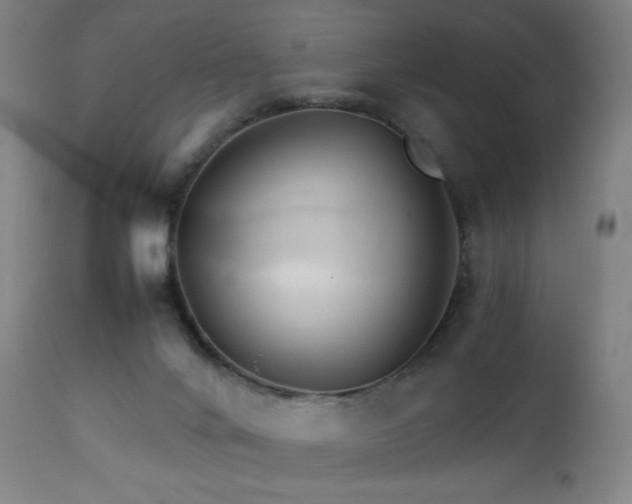 X0000111230024200907021410