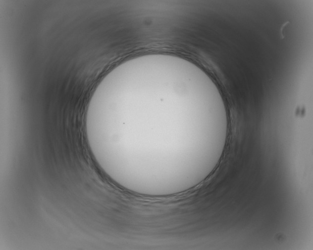 X0000111230025200907021410
