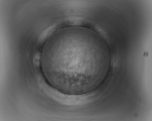 X0000111230026200907021410