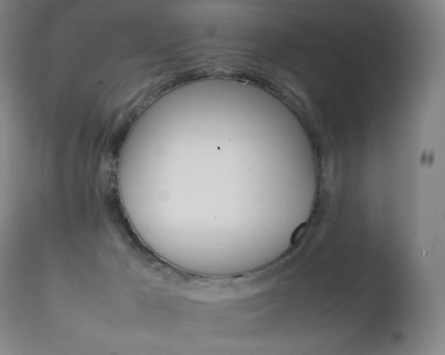 X0000111230029200907021410