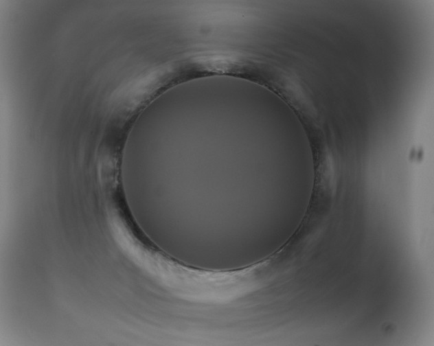 X0000111230031200907021410
