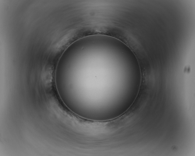 X0000111230032200907021410
