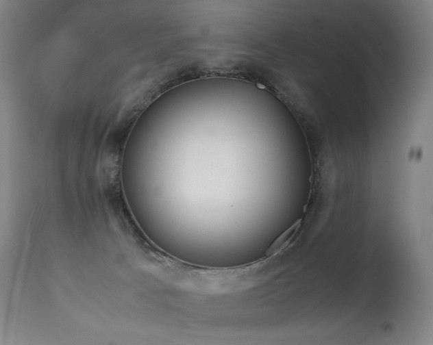 X0000111230033200907021410