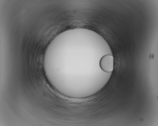 X0000111230034200907021410