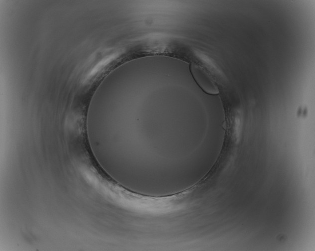 X0000111230035200907021410