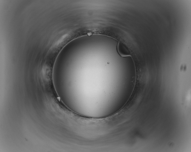 X0000111230036200907021410