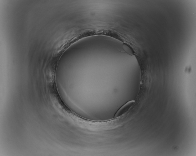 X0000111230039200907021410