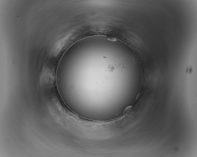 X0000111230040200907021410