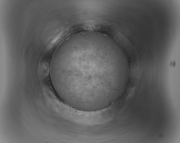 X0000111230043200907021409