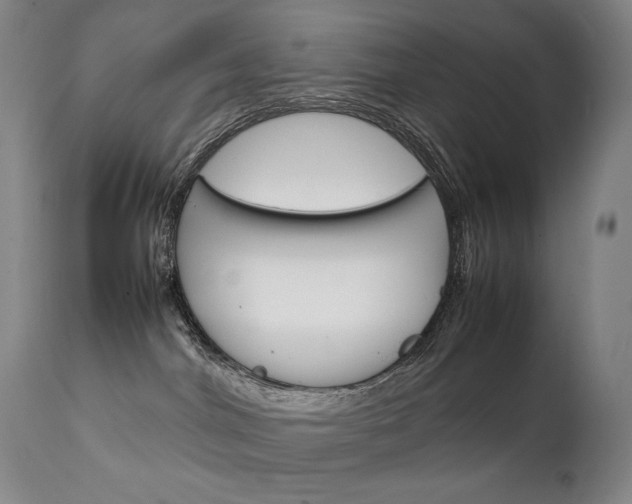 X0000111230044200907021409
