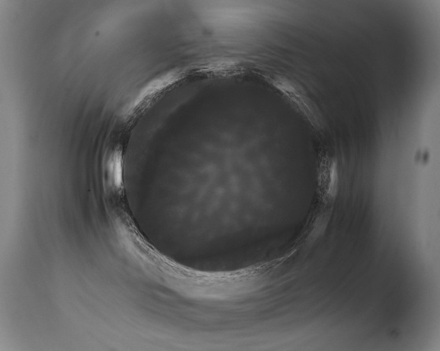 X0000111230046200907021409