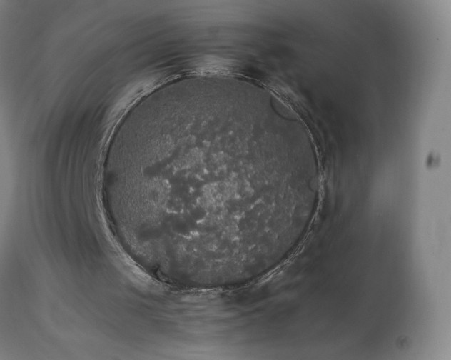 X0000111230049200907021408