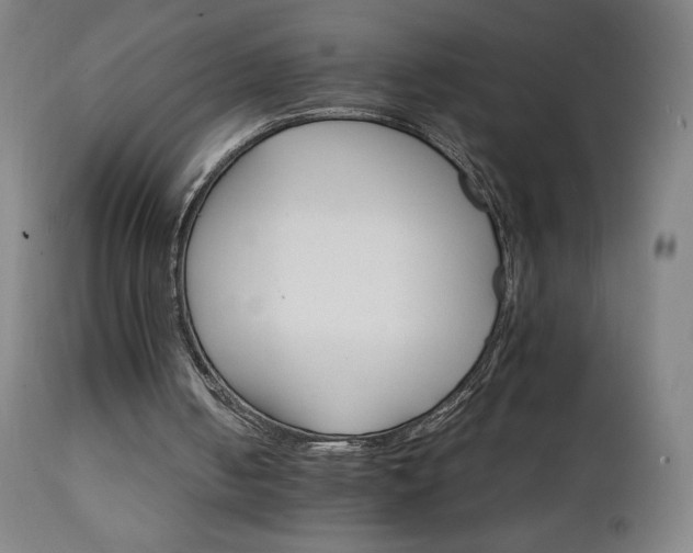 X0000111230050200907021408