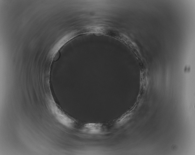 X0000111230051200907021408