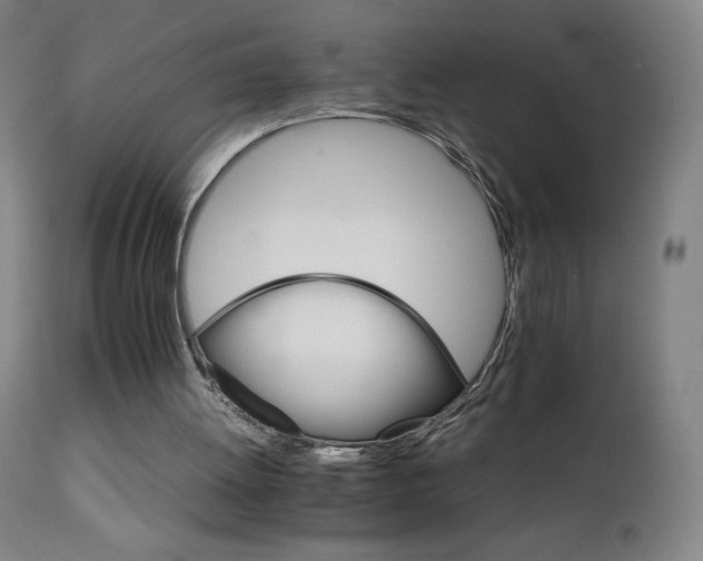 X0000111230052200907021408