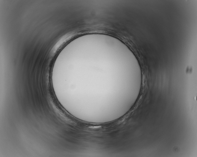 X0000111230054200907021408