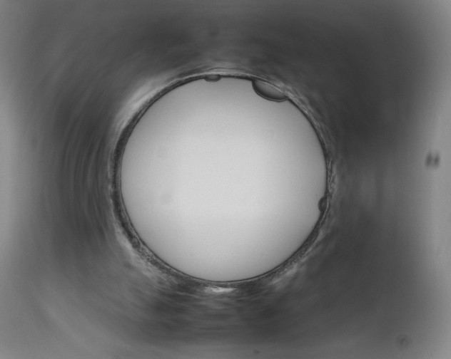 X0000111230055200907021408