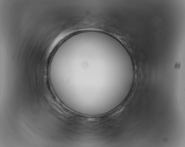 X0000111230056200907021408