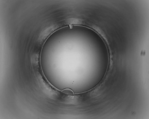 X0000111230057200907021408