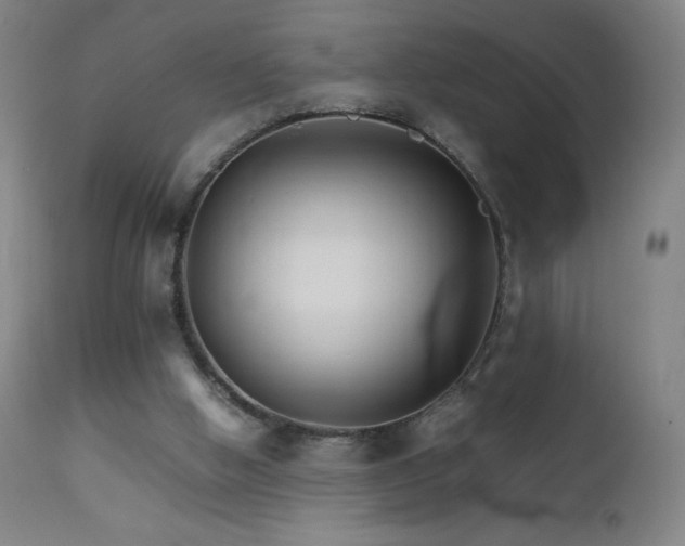 X0000111230058200907021409
