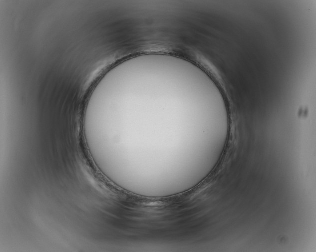 X0000111230059200907021409