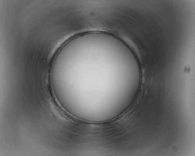 X0000111230060200907021409