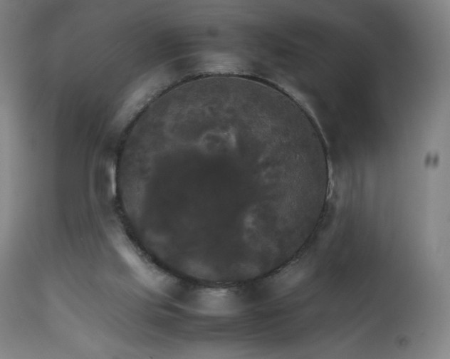 X0000111230061200907021409
