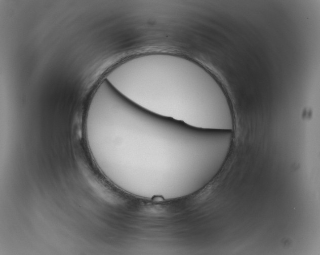X0000111230062200907021409