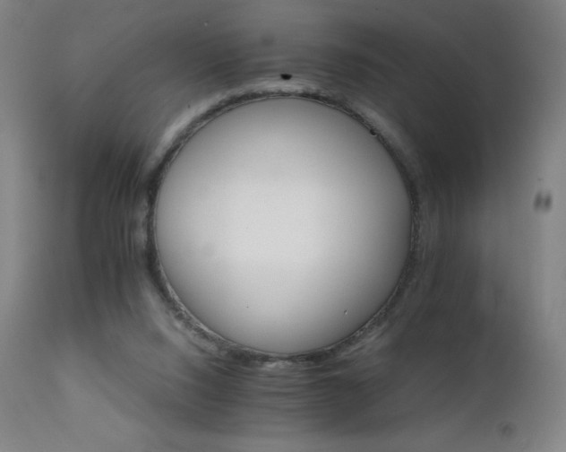X0000111230064200907021409