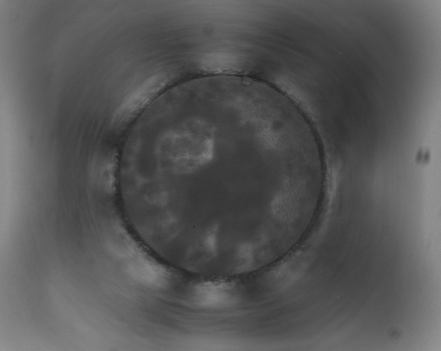 X0000111230065200907021409