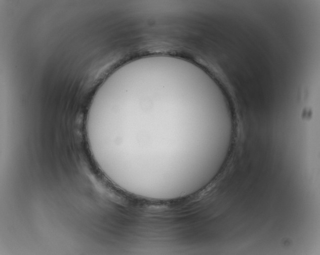X0000111230066200907021409
