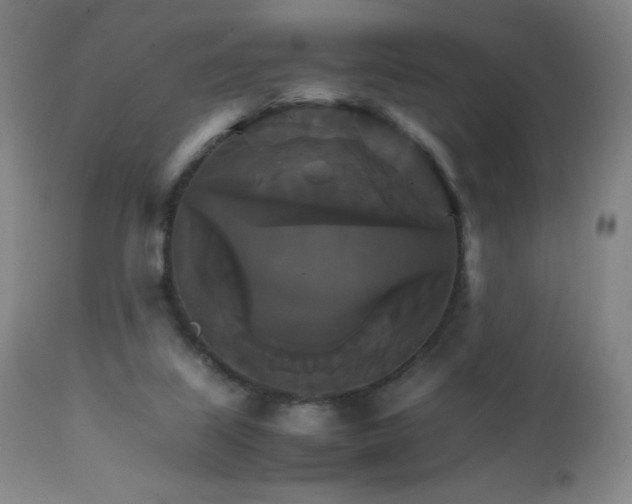 X0000111230067200907021409