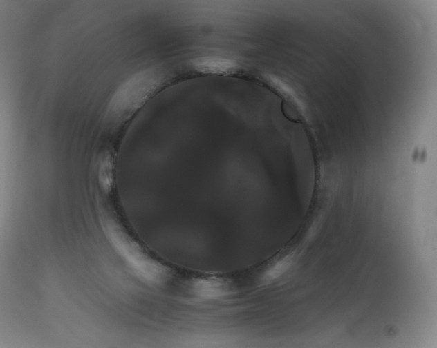 X0000111230069200907021409
