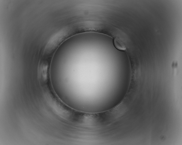 X0000111230070200907021409