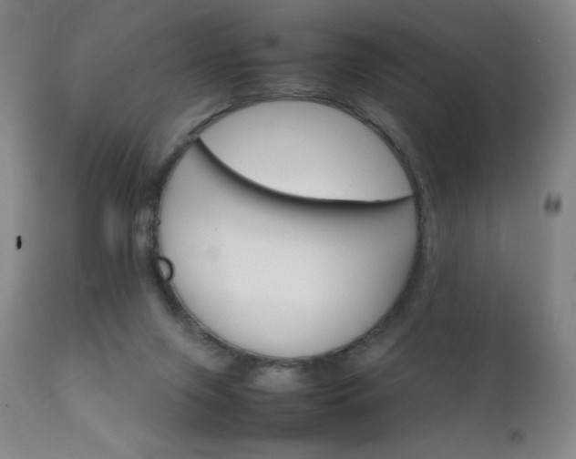 X0000111230071200907021409