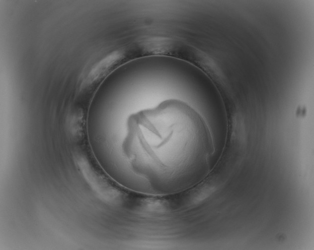 X0000111230073200907021409