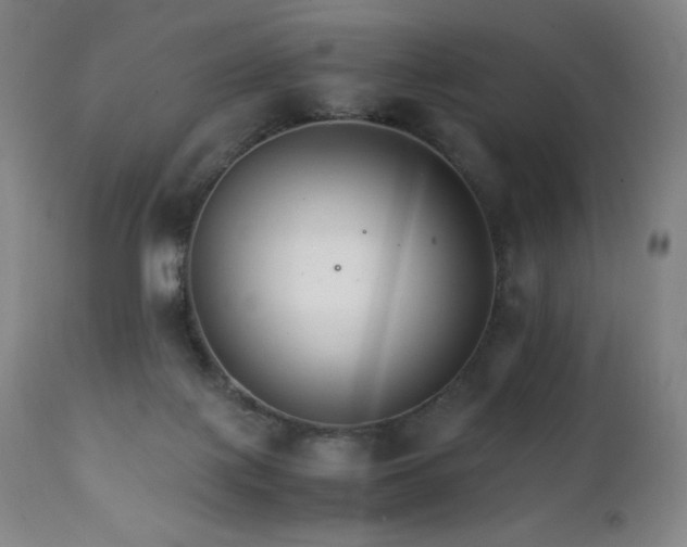 X0000111230075200907021409