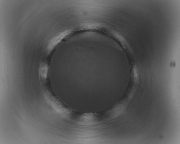 X0000111230076200907021409