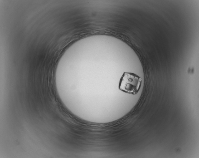 X0000111230080200907021409