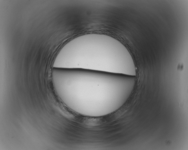 X0000111230081200907021409