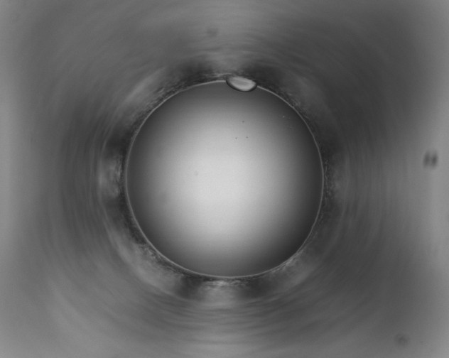 X0000111230082200907021409