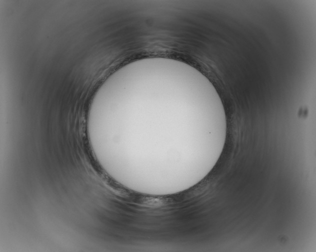 X0000111230083200907021409