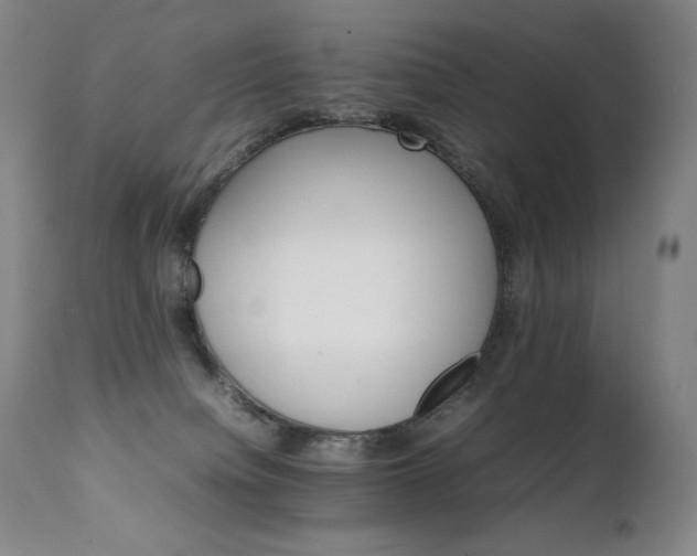 X0000111230084200907021409