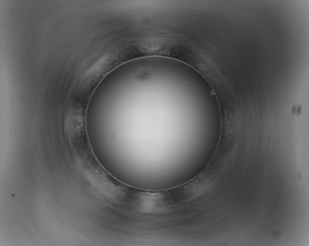 X0000111230085200907021409