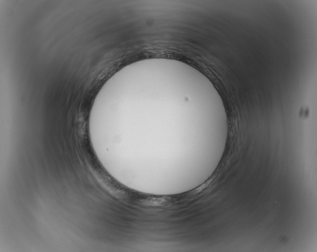 X0000111230086200907021409