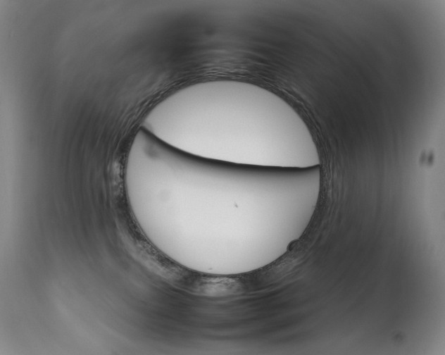 X0000111230087200907021409