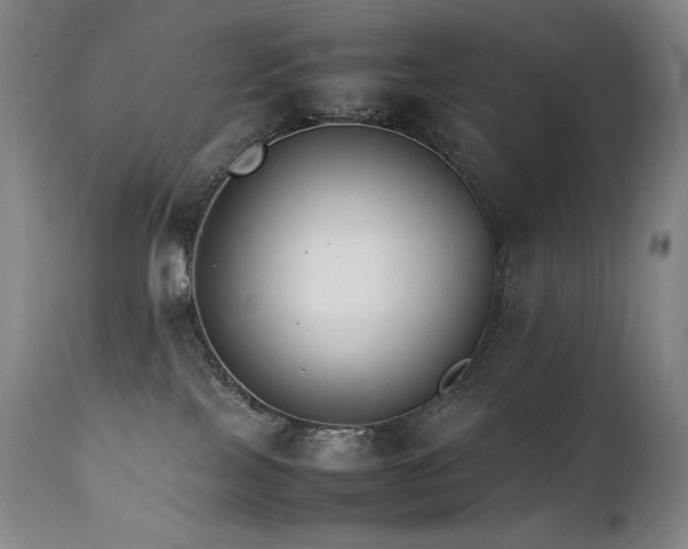 X0000111230089200907021409