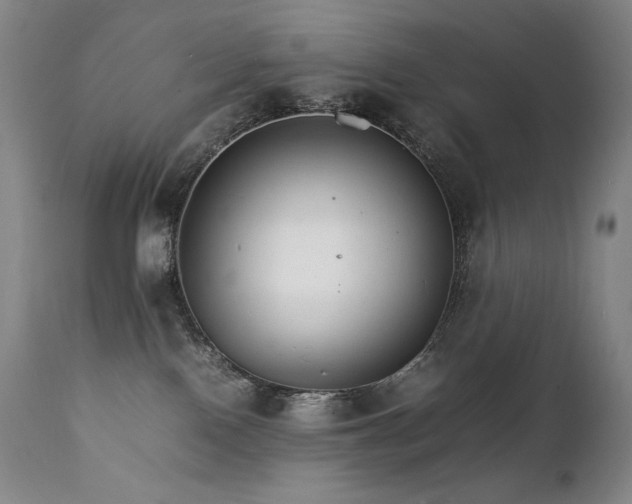 X0000111230090200907021409