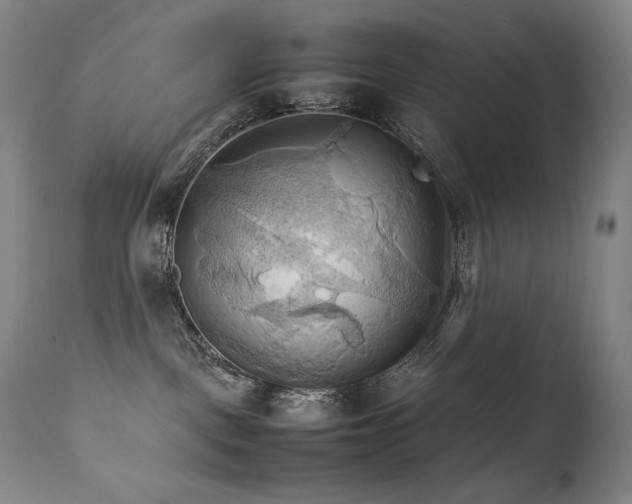 X0000111230093200907021409
