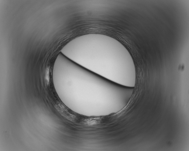 X0000111230094200907021409